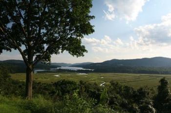 Hudson Highlands Tree Boscobell | Obraz na stenu