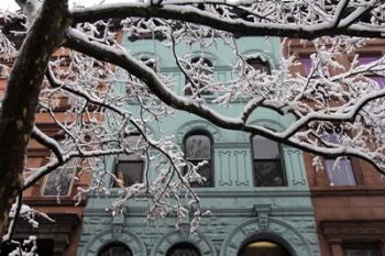 Snowstorm Brownstones Branches | Obraz na stenu