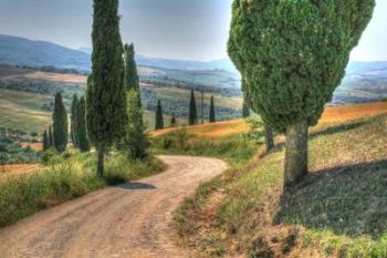 Tuscan Footpath 0392 | Obraz na stenu