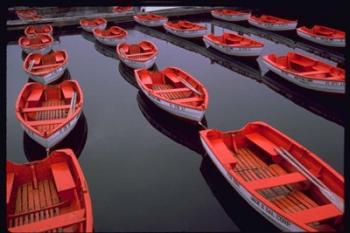 City Island Red Row Boats | Obraz na stenu