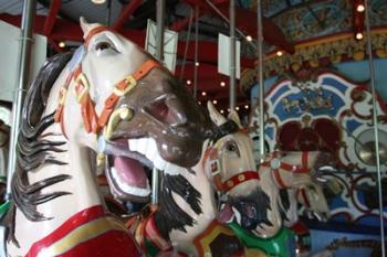 Central Park Carousel | Obraz na stenu