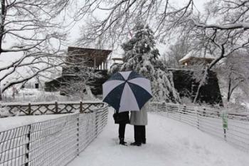 Central Park Couple In The Snow | Obraz na stenu