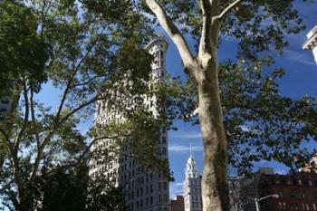 Flatiron Building With Trees | Obraz na stenu