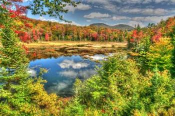 Adirondack Pond | Obraz na stenu