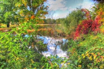 Autumn Pond | Obraz na stenu