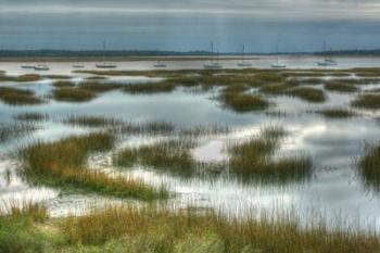 Beaufort Harbor | Obraz na stenu