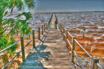 Cedar Key Pier | Obraz na stenu