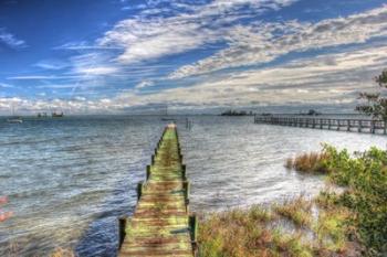 Green Pier And Sea Grass | Obraz na stenu