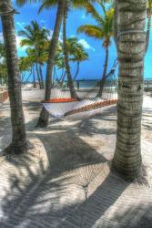 Higgs Beach Hammock. | Obraz na stenu