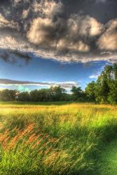 Late Afternoon Field | Obraz na stenu