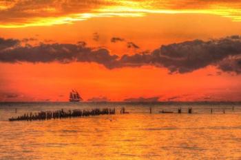 Old Pier And Gull After Sunset | Obraz na stenu