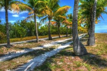 Palm Road | Obraz na stenu