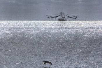 Shrimper And Cormarant | Obraz na stenu