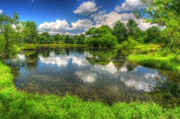 Summer Pond | Obraz na stenu