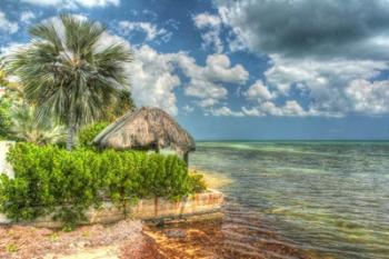 Thatched Roof | Obraz na stenu