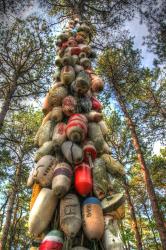 Tree Buoys | Obraz na stenu