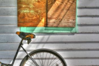 Trusty Old Bike | Obraz na stenu