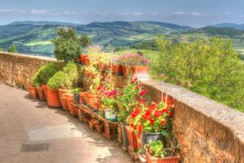 Tuscan Garden View | Obraz na stenu