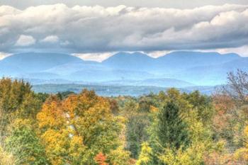 Blue Catskills And Hawk | Obraz na stenu