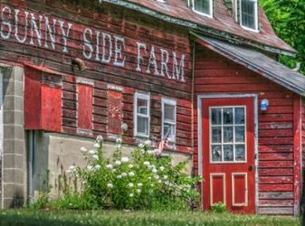 Farm Lettering 1 | Obraz na stenu