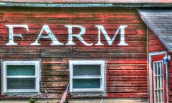 Farm Lettering 2 | Obraz na stenu