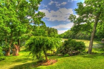 Formal Garden Trees | Obraz na stenu