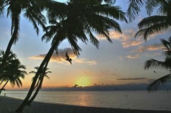 Key West Sunrise VII | Obraz na stenu