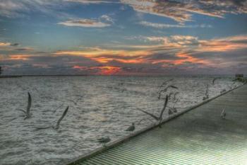 Key West Sunrise Gulls and Pier | Obraz na stenu
