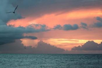 Key West Sunset IV | Obraz na stenu