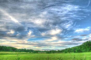 Meadow Midday | Obraz na stenu