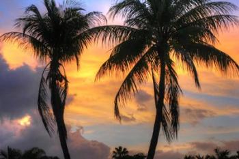 Key West Two Palm Sunrise | Obraz na stenu