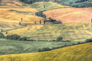 Tuscan Field Patterns | Obraz na stenu