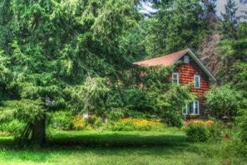 Pine Tree and Cottages | Obraz na stenu