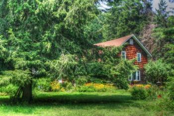 Pine Tree and Cottages | Obraz na stenu