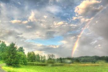 Rainbow and Heron | Obraz na stenu