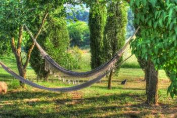 Tuscan Hammocks and Cat | Obraz na stenu