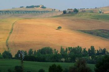 Tuscan Hill II | Obraz na stenu