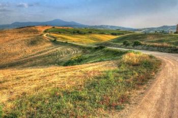 Tuscan Ridge Top Trail | Obraz na stenu