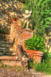 Tuscan Vertical Cat on Stairs | Obraz na stenu