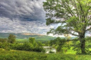 View from the Oxbow | Obraz na stenu