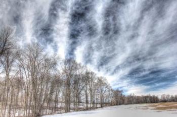 Winter Treeline | Obraz na stenu