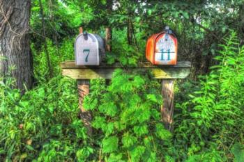 Two Mailboxes | Obraz na stenu
