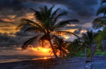 Tropical Sunset | Obraz na stenu