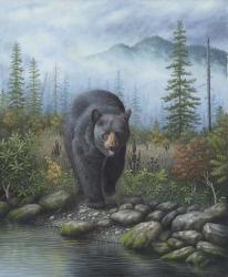 Smoky Mountain Black Bear | Obraz na stenu