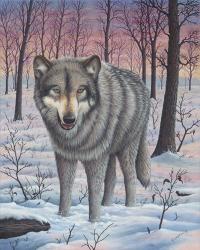 Lone Wolf | Obraz na stenu