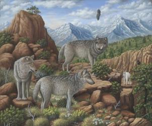Scouting the Horizon - Grey Wolves | Obraz na stenu