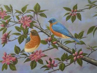 Bluebirds | Obraz na stenu