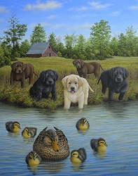 Puppies And Ducklings | Obraz na stenu