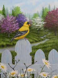 Goldfinch and Daisies | Obraz na stenu