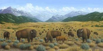 The Bison Trail | Obraz na stenu